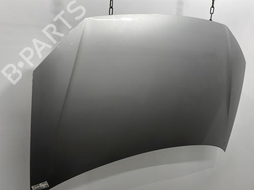 Hood VW POLO IV (9N_, 9A_) 1.4 TDI | BP29921976C1