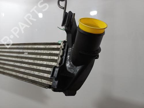 Used Intercooler Intercooler DACIA LOGAN EXPRESS (FS_) 1.5 dCi (88 hp) 35969528 35969528