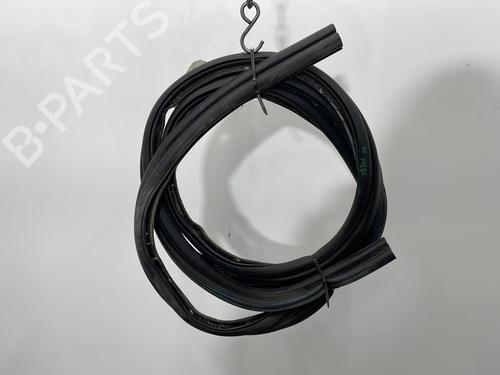 Gummiliste LANCIA VOYAGER MPV (404_) 2.8 CRD (RT, 53) (177 hp) 31654213