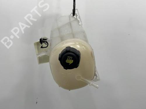 Expansion tank RENAULT TWINGO III (BCM_, BCA_) 1.0 SCe 65 (BCMJ) | BP20388082C120 