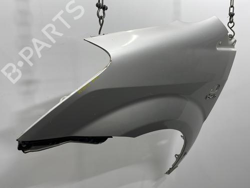 Left front fenders TOYOTA COROLLA Verso (ZER_, ZZE12_, R1_) 2.0 D-4D (CUR10_, CUR10R) | BP20394819C41 