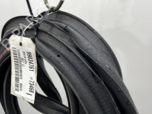 Rubber door seal PEUGEOT 208 II (UB_, UP_, UW_, UJ_) 1.2 PureTech 75 | BP22695967C142 
