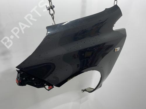 Left front fenders OPEL CORSA D (S07) 1.3 CDTI (L08, L68) | BP29749724C41