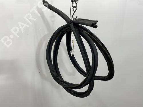 Rubber door seal RENAULT SCÉNIC II (JM0/1_) 1.9 dCi (JM0G, JM12, JM1G, JM2C) 8200097496