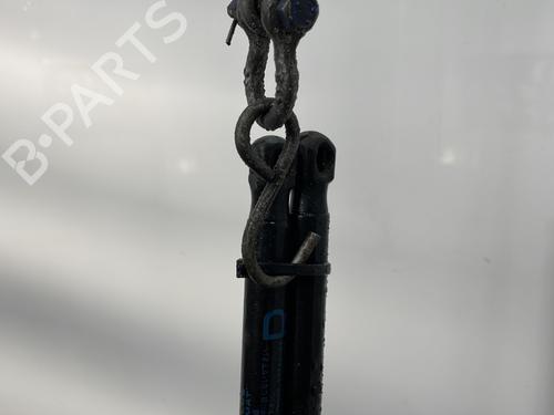 Tailgate lift support SUZUKI SWIFT IV (FZ, NZ) 1.3 DDiS (AZG413D, ZC02S, ZC92S) | BP30547911C138