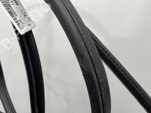 Rubber door seal NISSAN MICRA V (K14) 1.0 | BP21162871C142