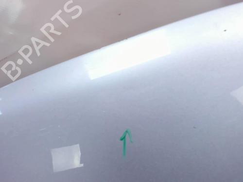 Hood FIAT IDEA (350_) 1.3 D Multijet | BP20436110C1 