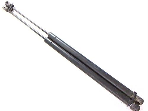 Used Tailgate lift support RENAULT SCÉNIC II (JM0/1_) 1.5 dCi (JM1F) (86 hp) 20462315