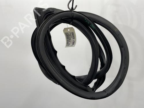 Used Rubber door seal BMW 1 (F21) 114 i (102 hp) 25586667