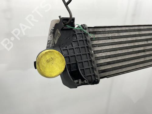 Intercooler FORD C-MAX (DM2) 1.8 TDCi | BP20665786M30 - Image 4