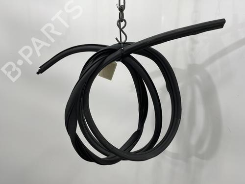 Rubber door seal RENAULT SCÉNIC II (JM0/1_) 1.9 dCi (JM0G, JM12, JM1G, JM2C) 8200077500