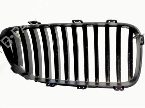 Used Grille Grille 21236108 21236108