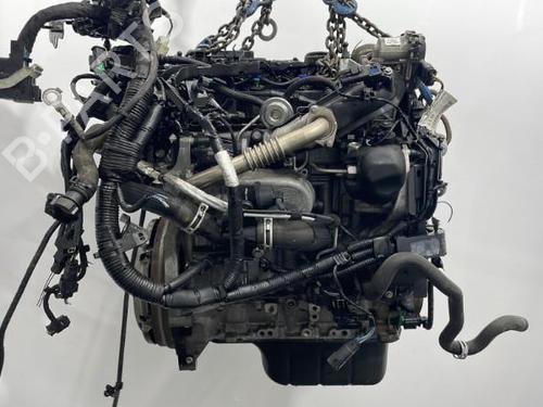 Engine FORD B-MAX (JK) 1.5 TDCi | BP20400655M1  - Image 8