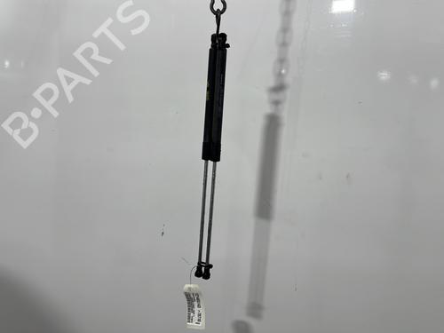 tailgate-lift-support-renault-laguna-coupe-dt01-2008-2009-2010-2011-2012-2013-2014-2015-32631002 main image