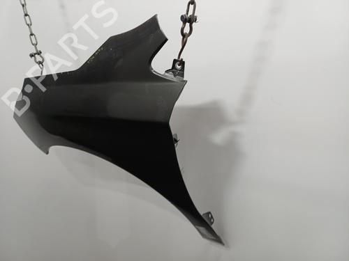 Left front fenders CITROËN C4 II (NC_) 1.6 HDi 90 | BP22103596C41