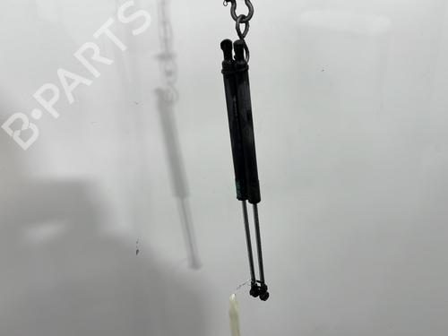 tailgate-lift-support-renault-clio-iii-br01-cr01-2005-2006-2007-2008-2009-2010-2011-2012-2013-2014-30548148 main image