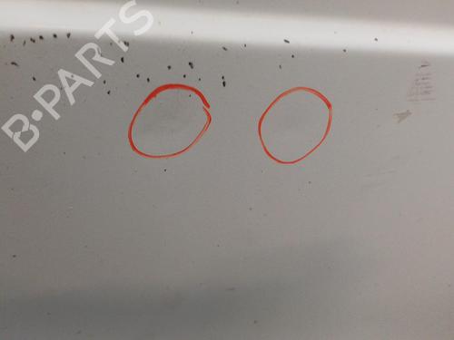 Right front door RENAULT TRAFIC Van (T_, P_, V_) 1.9 D | BP22102719C3 