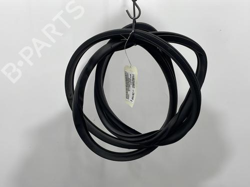 rubber-door-seal-renault-koleos-ii-hc_-2016-29976576 main image