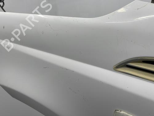 Left front fenders CHEVROLET AVEO / KALOS Hatchback (T250, T255) 1.2 LPG | BP20395436C41 