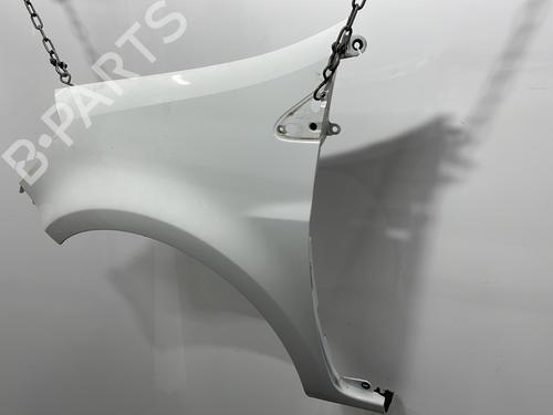 Left front fenders RENAULT CLIO III (BR0/1, CR0/1) 1.5 dCi (C/BR0G, C/BR1G) | BP29438004C41 