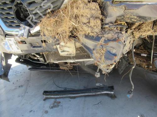- Image 12