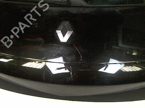 Tailgate RENAULT MEGANE II (BM0/1_, CM0/1_) 1.9 dCi (BM0G, CM0G) | BP20475235C6 