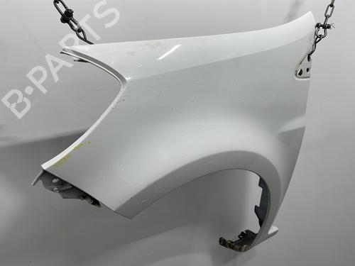 Left front fenders RENAULT CLIO III (BR0/1, CR0/1) 1.5 dCi (C/BR0G, C/BR1G) | BP29438004C41 