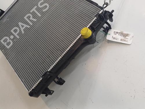 Used Water radiator Water radiator NISSAN QASHQAI III (J12) 1.3 DIG-T (158 hp) 20449846 20449846