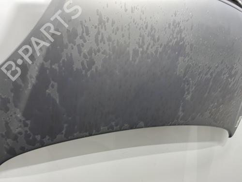 Hood CITROËN XSARA PICASSO (N68) 2.0 HDi | BP22415319C1 