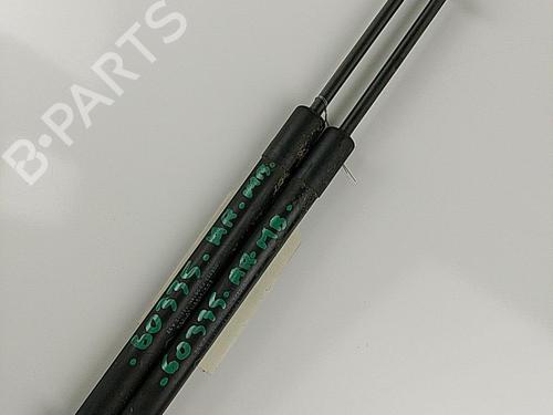 Tailgate lift support DACIA DUSTER (HS_) 1.6 16V Hi-Flex | BP20443099C138 