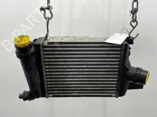 Used Intercooler DACIA DUSTER (HS_) 1.5 dCi (109 hp) 25773833