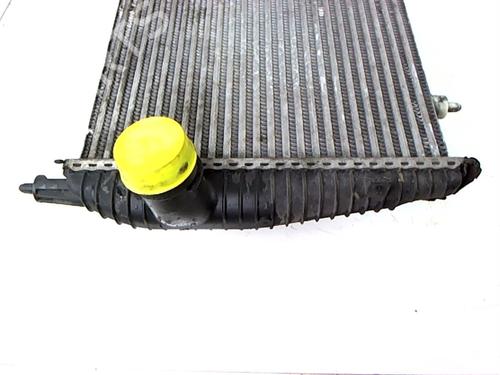 Used Intercooler Intercooler CITROËN C6 (TD_) 2.2 HDi (170 hp) 20466125 20466125
