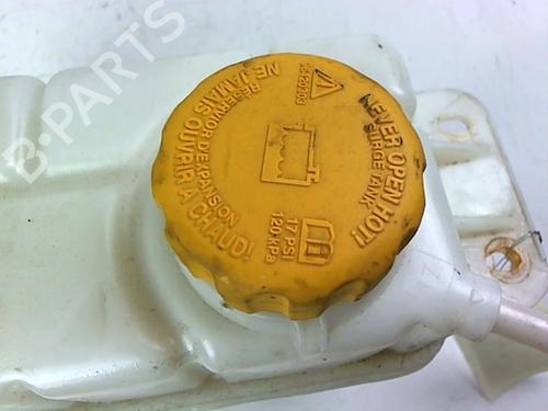 Used Expansion tank CHEVROLET AVEO / KALOS Hatchback (T250, T255) 1.2 (84 hp) 20465960