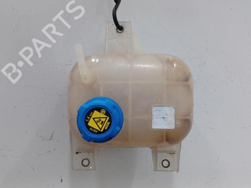 Expansion tank FIAT DOBLO Cargo (263_) 1.3 D Multijet | BP20465213C120