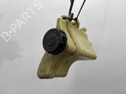 Power steering reservoir RENAULT KANGOO Express (FC0/1_) 1.5 dCi (FC07, FC1R) | BP20419631M117 