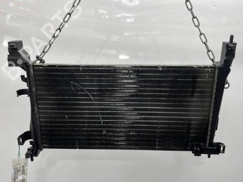 Used Water radiator Water radiator PEUGEOT BIPPER (AA_) 1.4 HDi (68 hp) 20389213 20389213