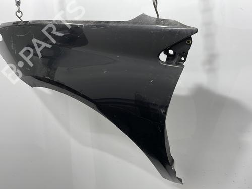 Left front fenders RENAULT LAGUNA III Grandtour (KT0/1) 2.0 dCi (KT07, KT0J, KT14, KT1A, KT1S) | BP20428327C41 