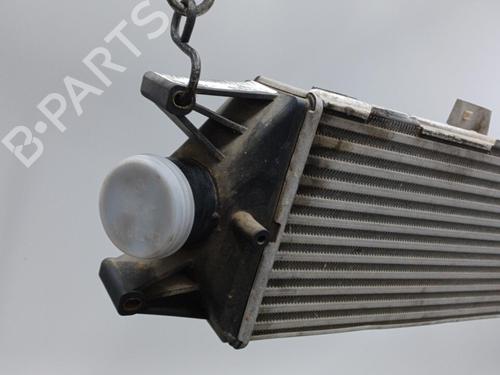 Used Intercooler IVECO DAILY IV Van 29L10 V (95 hp) 21237702
