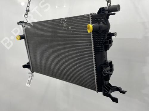 Køler RENAULT SCÉNIC III (JZ0/1_) 1.5 dCi | BP20416955M31 