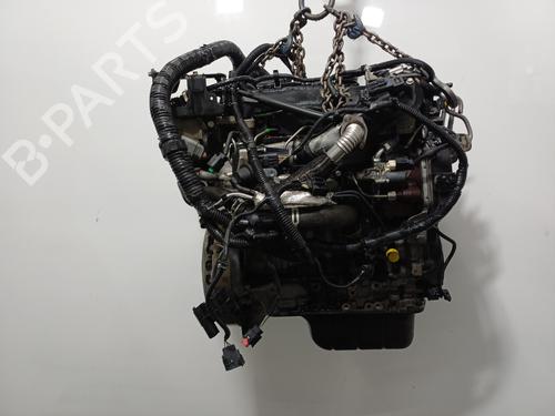 Engine FORD C-MAX II (DXA/CB7, DXA/CEU) | BP35892405M1 - Image 10