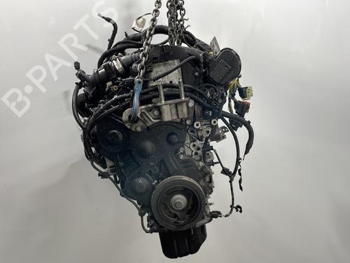 Motor FORD C-MAX II (DXA/CB7, DXA/CEU) 1.6 TDCi | BP30443779M1