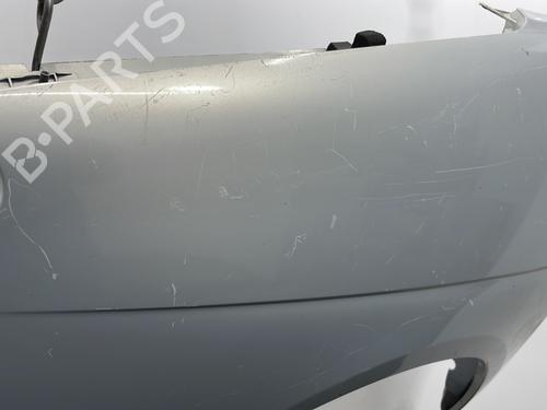 Guarda-lamas esquerdo RENAULT SCÉNIC I MPV (JA0/1_, FA0_) 1.9 dCi (JA05, JA1F) | BP20465458C41 