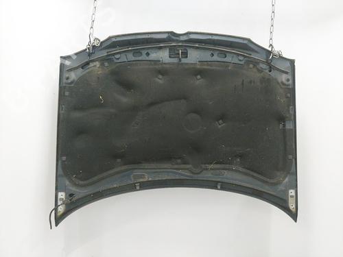 Hood VW GOLF IV (1J1) 1.4 16V | BP20406794C1 