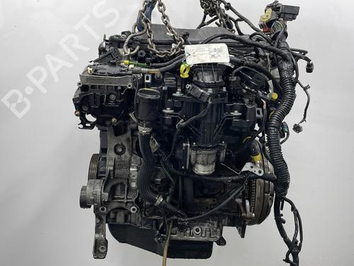 Motor FORD FOCUS III 2.0 TDCi (115 hp) 31126729