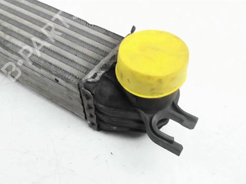 Intercooler MINI MINI COUNTRYMAN (R60) Cooper S ALL4 | BP31932165M30  - Image 6