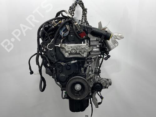Engine PEUGEOT 2008 II (UD_, US_, UY_, UJ_, UR_, UC_) 1.5 BlueHDI 130 | BP29921832M1