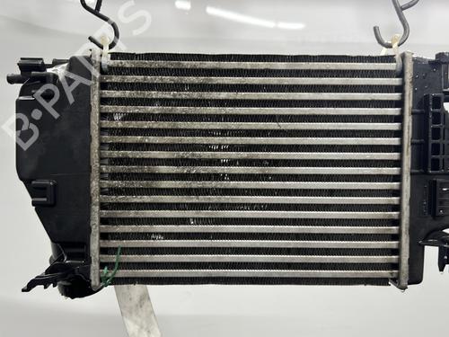 Intercooler RENAULT KOLEOS II (HC_) 1.6 dCi 130 | BP30115551M30