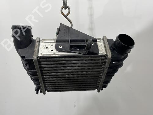 Ladeluftkühler VW POLO IV (9N_, 9A_) 1.4 TDI | BP30044829M30 