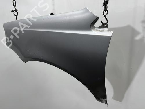 Forkjerm venstre VW POLO IV (9N_, 9A_) 1.4 TDI | BP29921973C41 