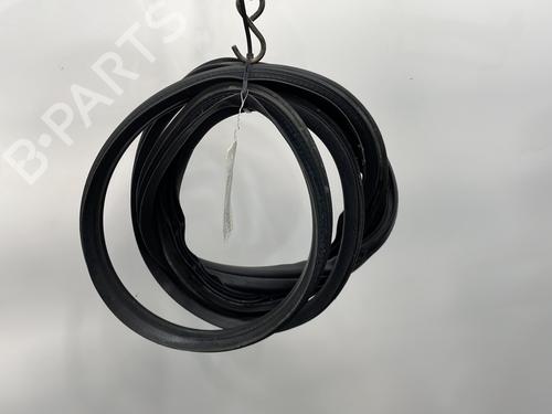 Used Rubber door seal FIAT GRANDE PUNTO (199_) 1.3 D Multijet (75 hp) 21062379